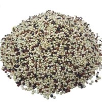 Quinoa Mista (Branca, Preta e Vermelha) (100 Gramas)