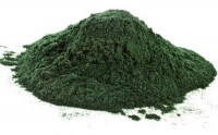 Spirulina em pó (100 Gramas)