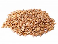 Trigo em grãos (100 Gramas)