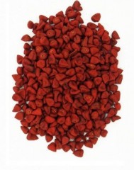 Semente de Urucum (100 GRAMAS) 